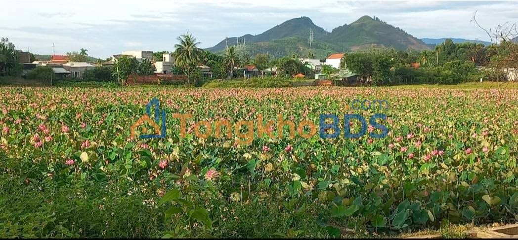 Đất 2 Mặt Kiệt An Ngãi Tây 3 - 326m² - Giá 1.95 Tỷ - Đà Nẵng