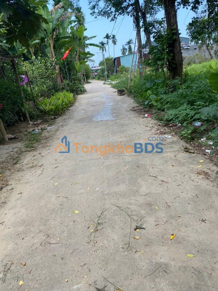 Đất Thăng Bình Quảng Nam 330m² - Sổ Đỏ Sẵn Sàng, Giá Tốt