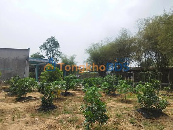 Đất Vườn Củ Chi 1440m² SHR Thổ 100m² - Giá Chỉ 5.2 Tỷ