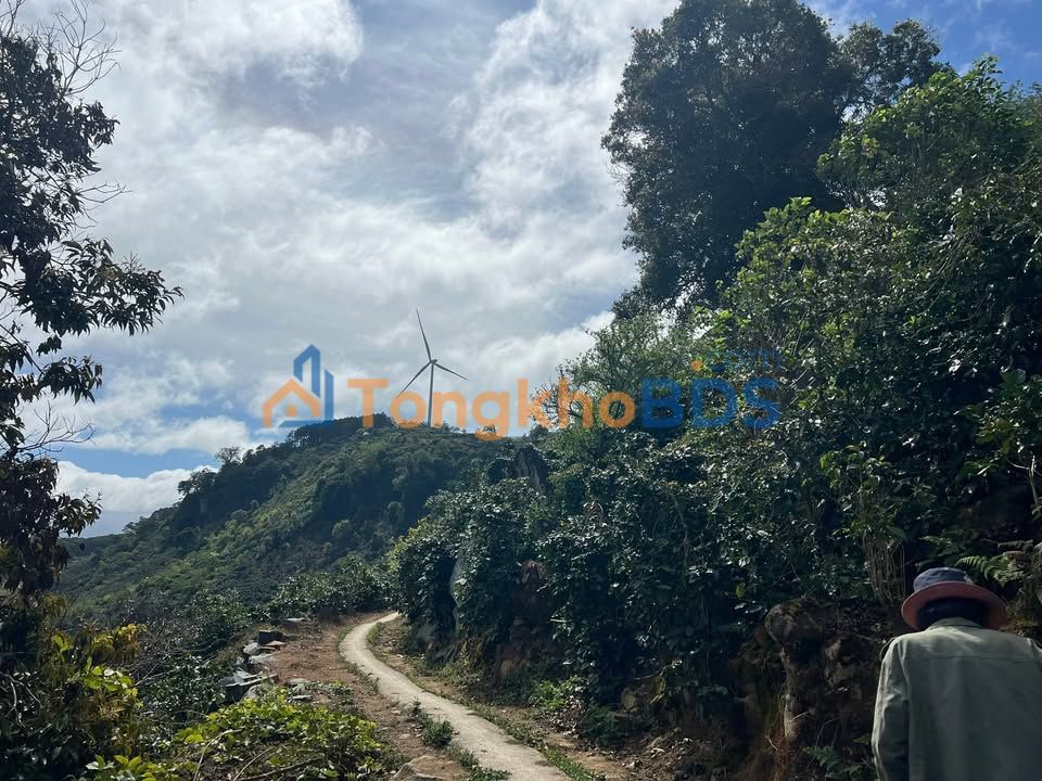 Đất Nền Đà Lạt 2000m² - View Sườn Đồi Đẹp, Giá Đầu Tư 2.8 Tỷ