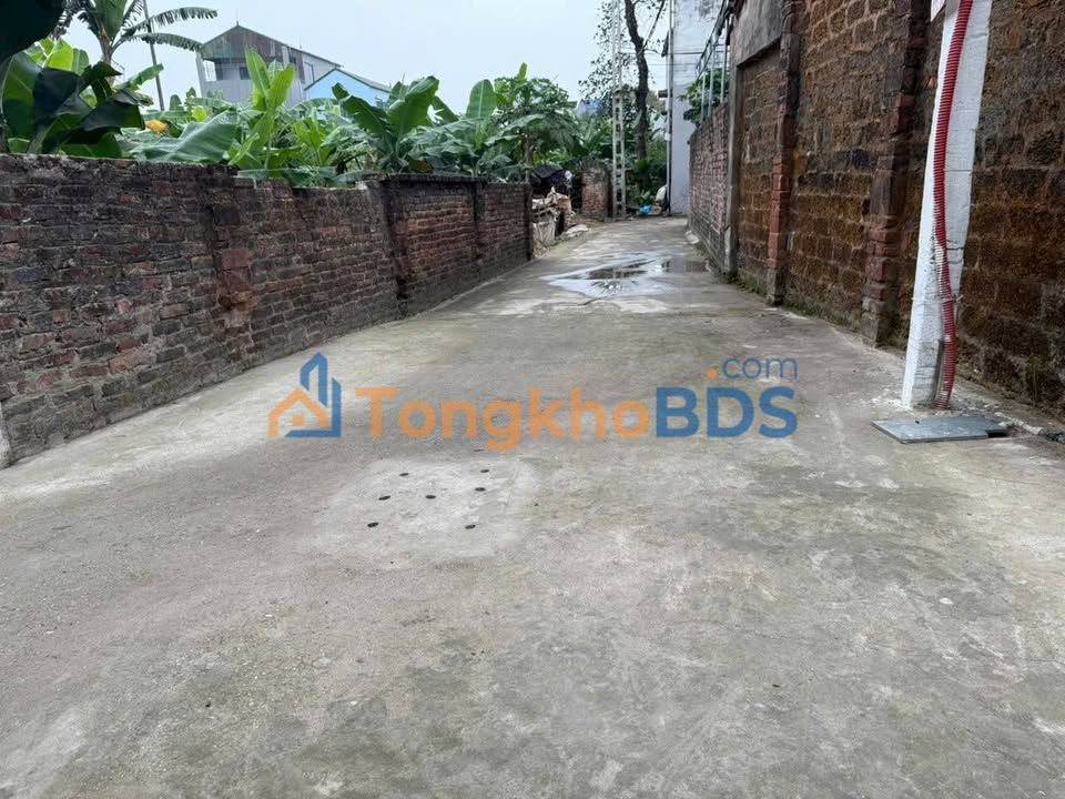 Bán Đất Thanh Oai 63.5m² - Sổ Đỏ Chính Chủ, Giá Chỉ 4 Tỷ