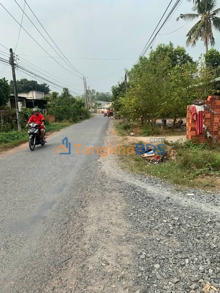 Đất Sổ Hồng Chính Chủ Gò Dầu 725m² - Gần KCN, Cao Tốc - Giá 2.8 Tỷ