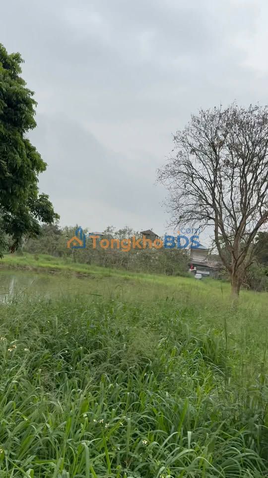 Bán Gấp Đất Vàng 30.000m² Thị Xã Sơn Tây - Giá Đất Nông Nghiệp