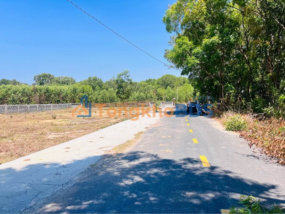 Đất Biển Phước Hải 242m² - Sổ Hồng Riêng - Chỉ Từ 2 Tỷ