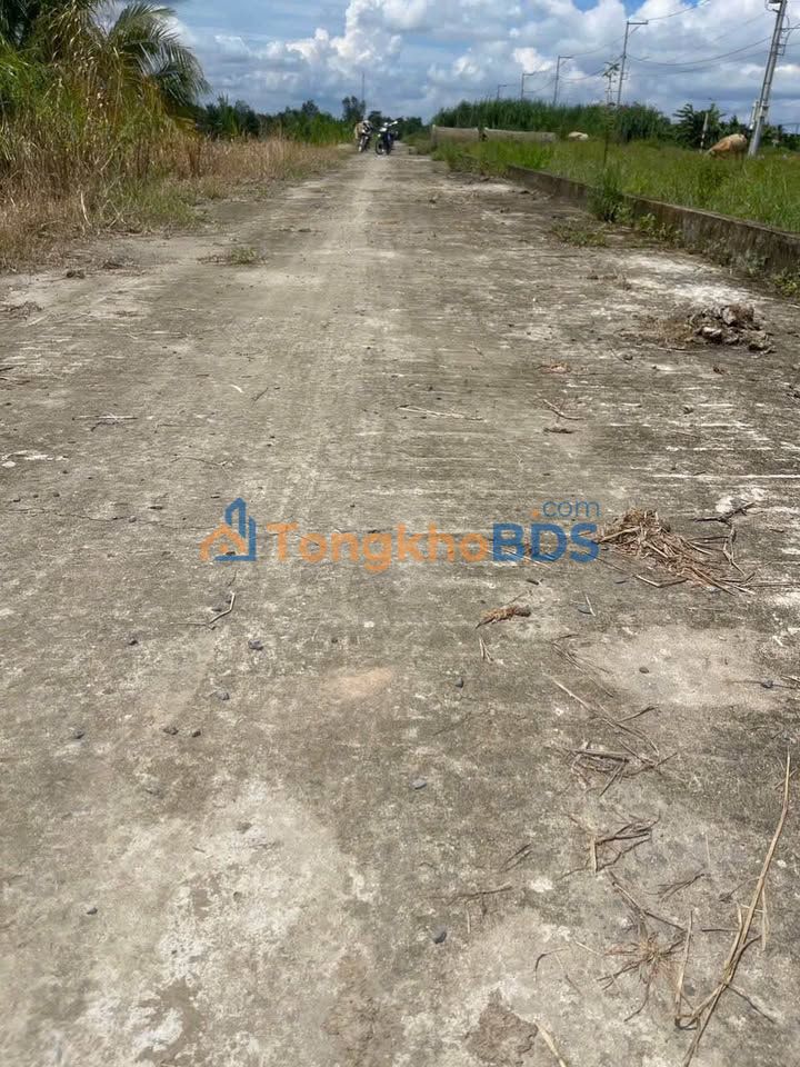 Bán Gấp Đất Vườn 8700m² Mặt Tiền Lộ 908 Vĩnh Long - Giá Đầu Tư 450 Triệu/Công