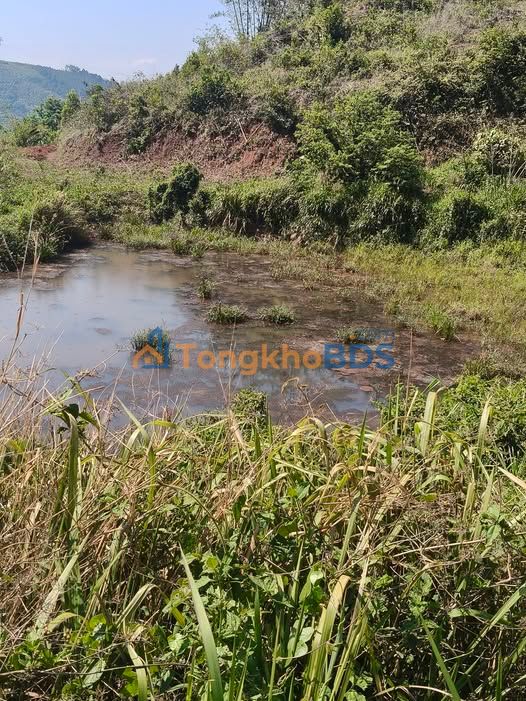 Đất Vườn 20.000m² Quảng Phú, Đắk Nông - Sổ Hồng 700 Triệu