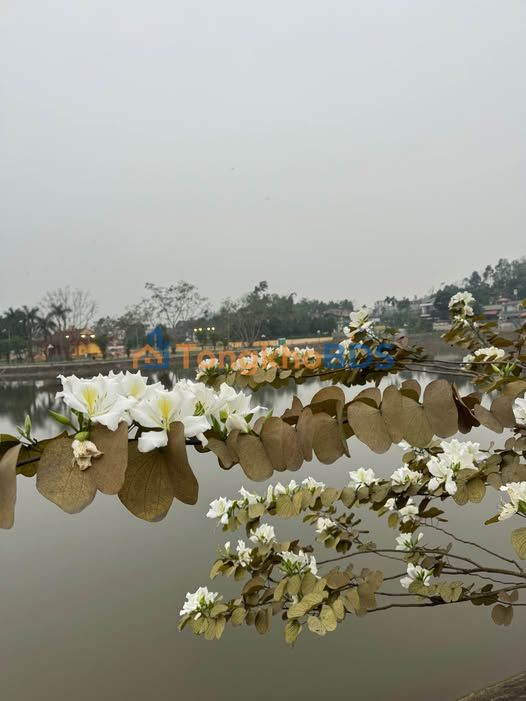 Đất Nền Yên Bái 224m² - View Hồ Điều Hòa Nam Cường - Sổ Hồng Sẵn Sàng