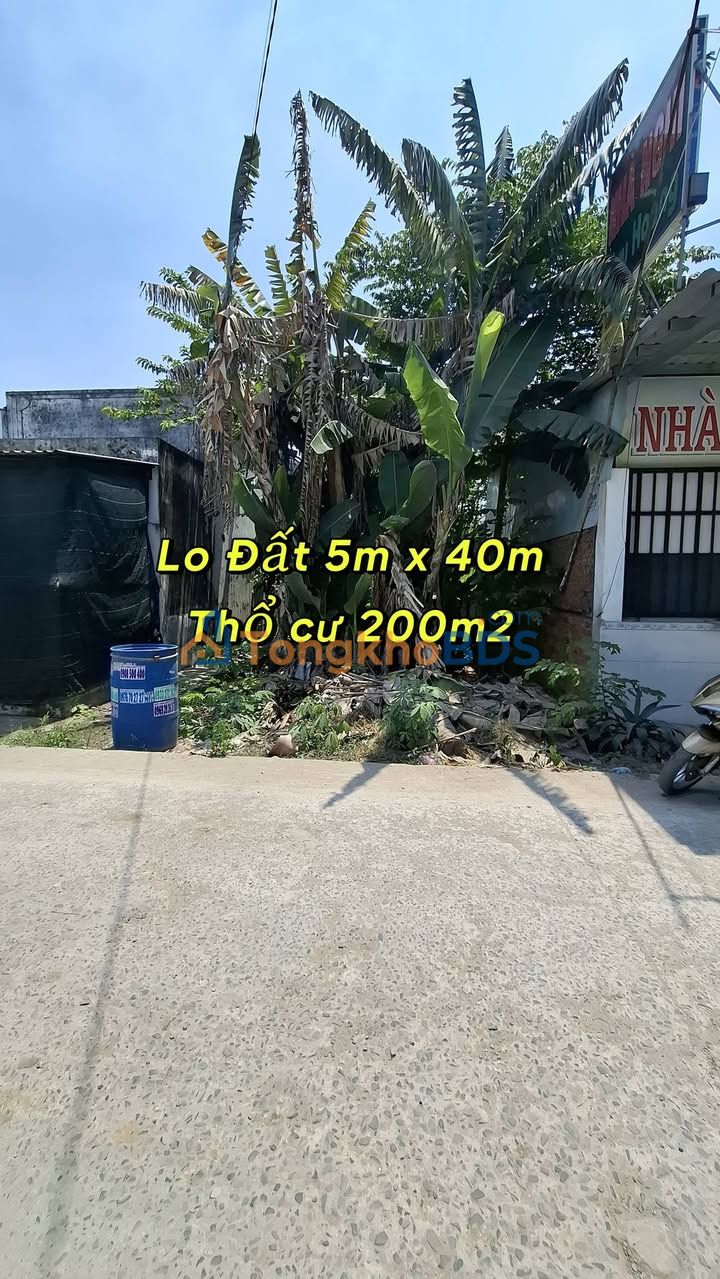 Đất Nền Mỹ Hạnh Nam 200m² - Sổ Hồng Full Thổ Cư, Giá 2.35 Tỷ