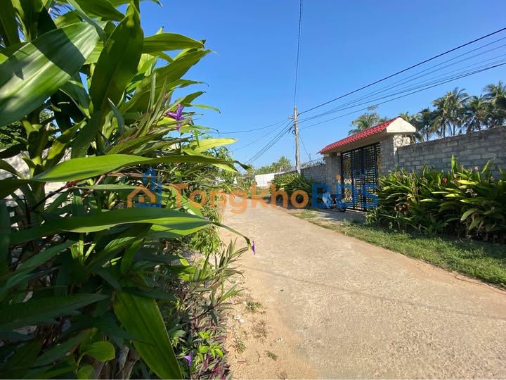 Đất Thổ Cư 255m² Phường An Bình - Sổ Hồng Sẵn Sàng