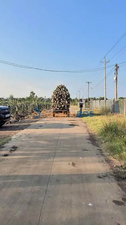 Đất Vườn Long Thành 3600m² - 550 Triệu, Đủ Cây Ăn Trái, Về Ở Ngay