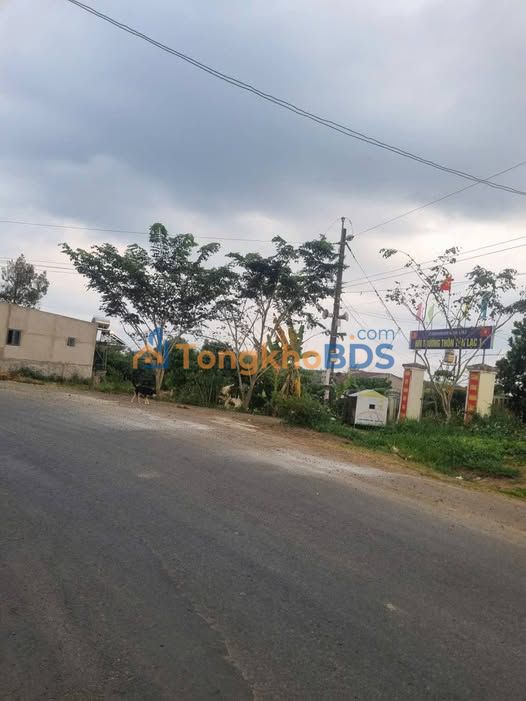 Đất Nền 180m² Mặt Tiền Nhựa Tân Lạc, Bảo Lâm - Giá 750 Triệu