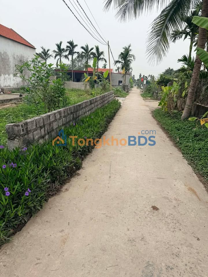 Bán Đất Nga Tân, Thanh Hóa 175m² - Giá Chỉ 7xx Triệu