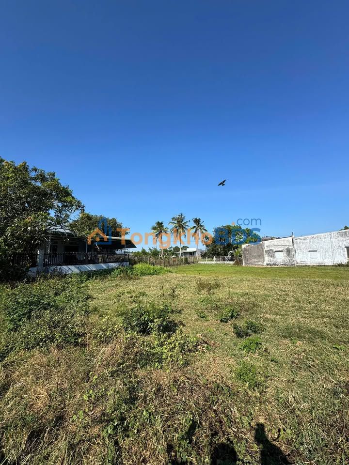 Đất Nền La Gi 120m² - Sổ Hồng Riêng, Gần Biển Cam Bình