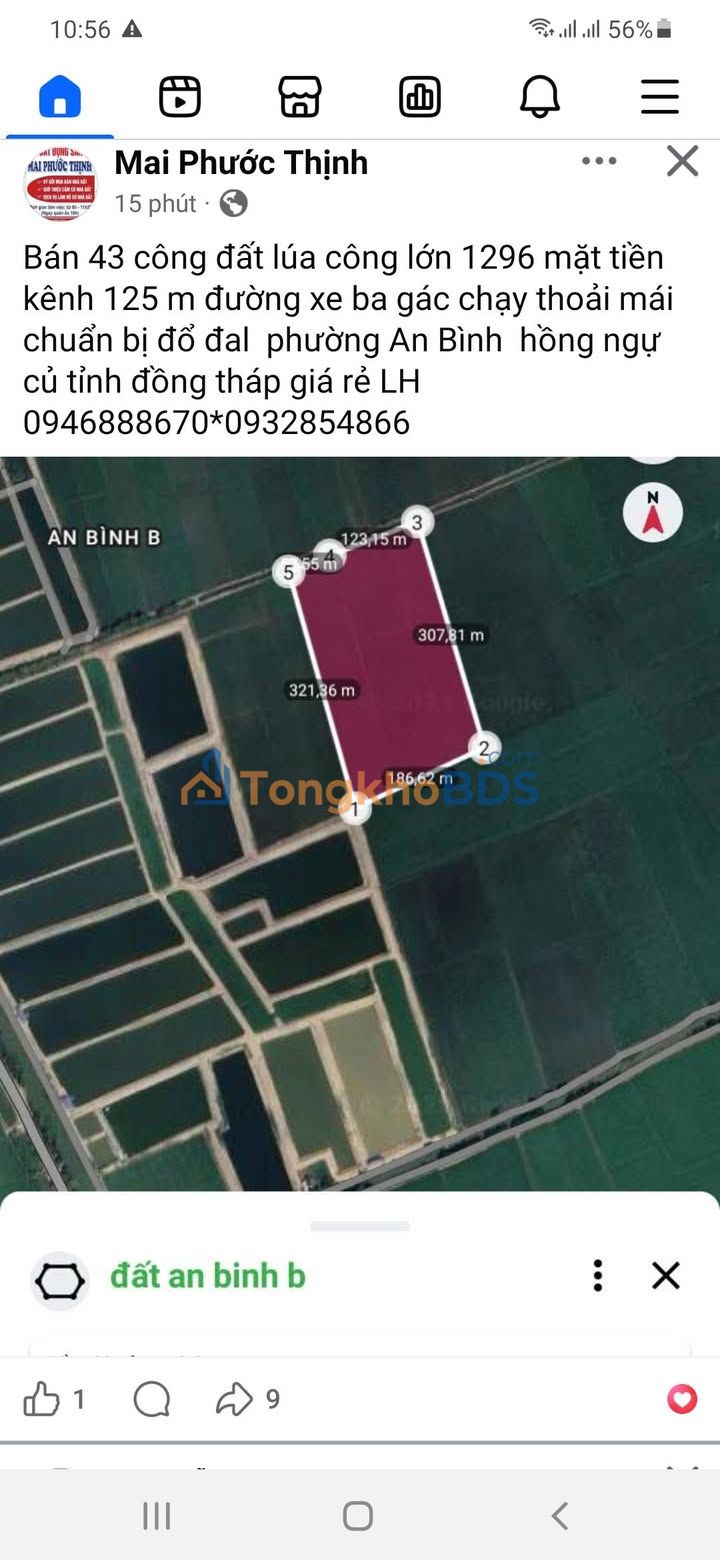 Bán Đất Ruộng 13000m² Mặt Tiền Kênh Thủy Lợi, TP Hồng Ngự