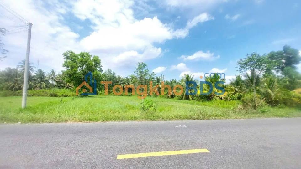 Đất nền mặt tiền 25m Phong Nẫm - 1.755m² ONT, giá 4.3 tỷ - Lý tưởng kho xưởng