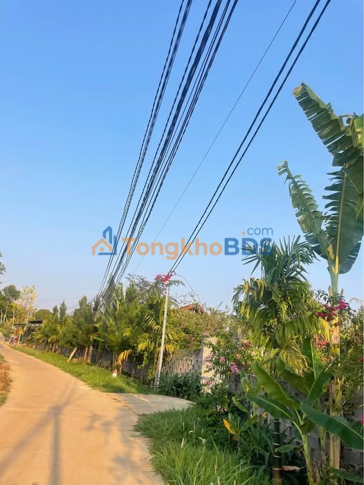 Đất Nền Đak Nia 730m² Sổ Đỏ Riêng - Giá Đầu Tư 900 Triệu