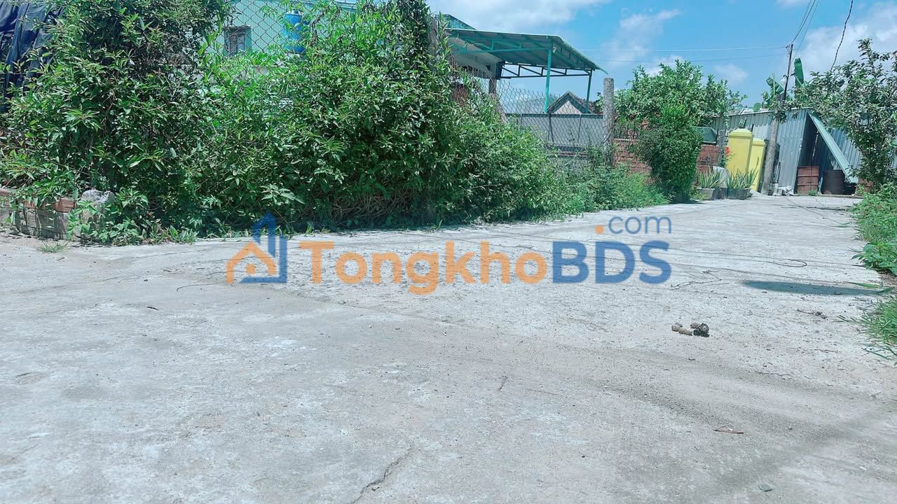 Bán Đất Lô Góc Xã Phước Lộc, Tuy Phước 74m² Giá 5xx Triệu