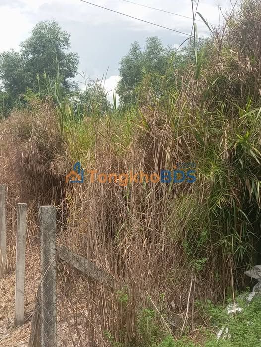 Đất Thổ Cư 365m² Mặt Tiền Nhựa Mỹ Phú, Thủ Thừa, Long An - Giá 1.35 Tỷ