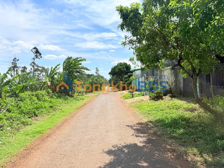 Bán Đất Mặt Tiền An Dương Vương, Pleiku 149m² - Sổ Hồng Full Thổ Cư