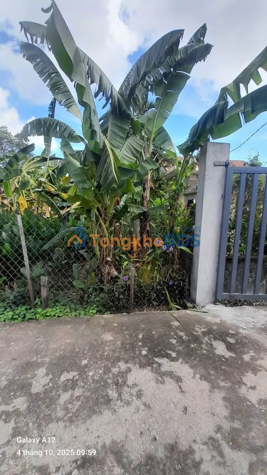 Đất Vỹ Dạ, Huế 98.4m² - Kiệt Ô tô, Gần Cầu Võ Nguyên Giáp - Sổ Hồng