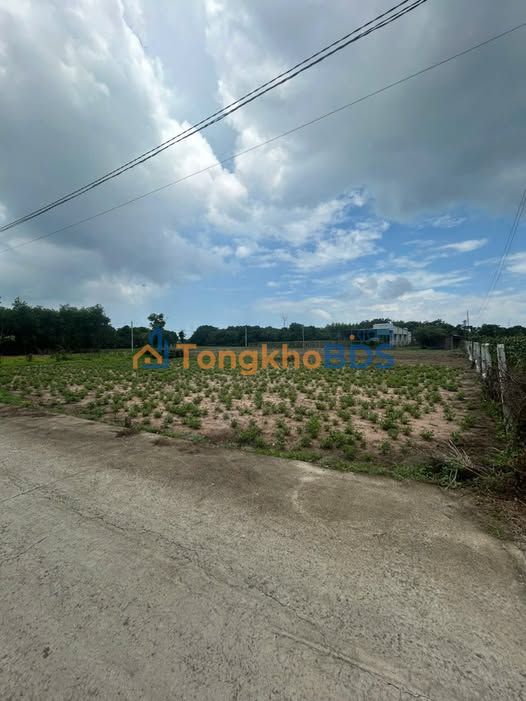 Đất Vườn 320m² Sổ Hồng Riêng, Giá 1.2 Tỷ Tại Đất Đỏ, BR-VT