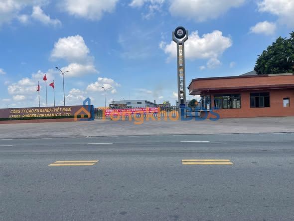 Bán Đất SKC 8600m² Xây Xưởng - Trảng Bom, Đồng Nai | Giá 29 Tỷ