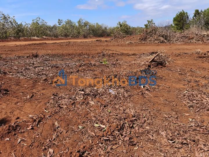 Bán Đất 10.000m² Đắk Lắk - Sổ Hồng Lâu Năm, Mặt Tiền Dài Gần Chợ