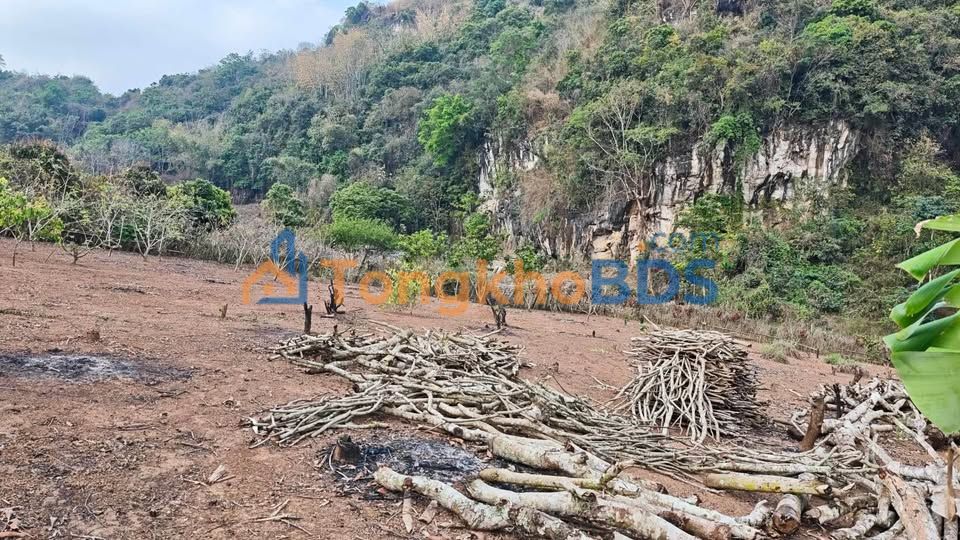 Đất Vườn Sơn La 4000m² - Vuông vắn, Bám đường bê tông, Giá tốt