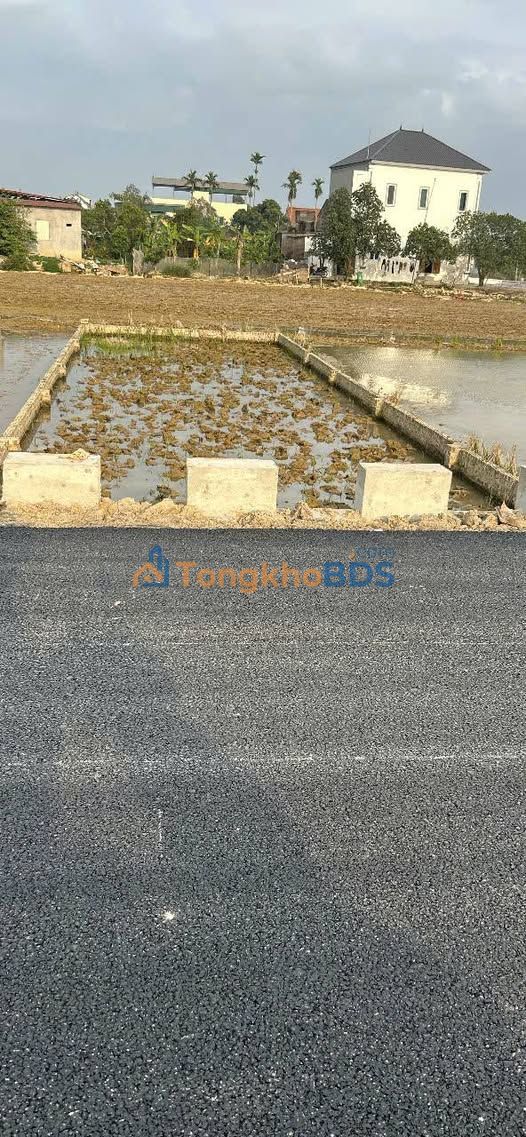 Đất Vàng Gia Bình 100m² Mặt Tiền Đường Apphan - Sổ Đỏ Sẵn Sàng