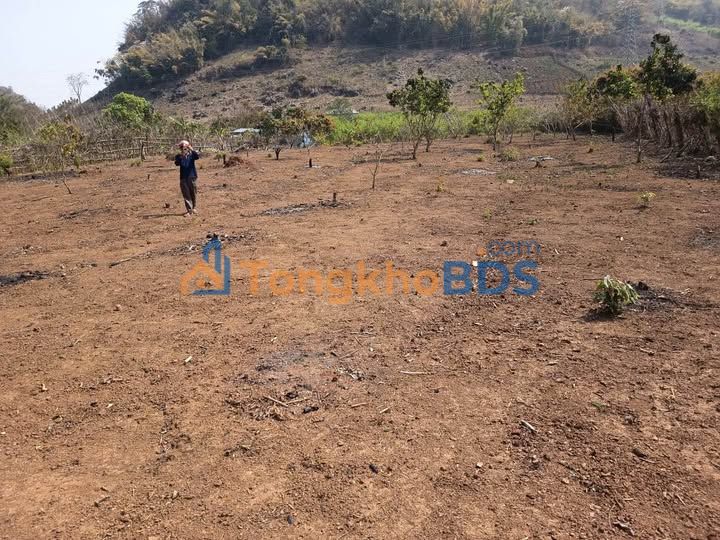 Đất Vườn Sơn La 4000m² - Vuông vắn, Bám đường bê tông, Giá đầu tư 2 tỷ