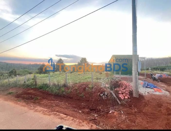 Bán gấp 2000m² đất vườn Đắk Ha, Đắk Nông - Sầu riêng, cafe, sổ hồng