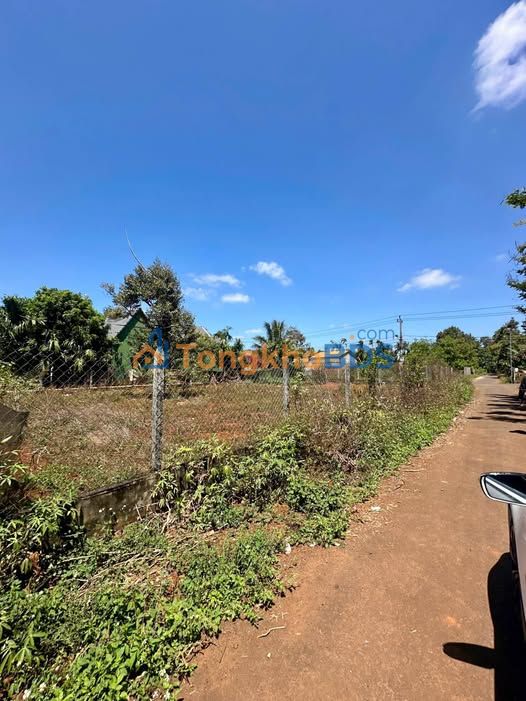 Bán Đất 100m² Phường Tân Lập, Buôn Ma Thuột - Hướng Đông, Giá 820 Triệu