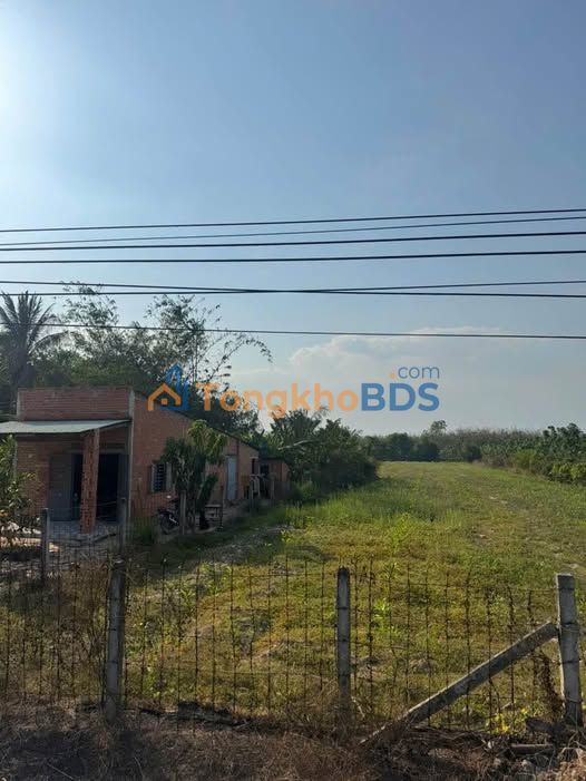 Bán Đất 10.000m² Tỉnh Tây Ninh - Sổ Đỏ Thổ Cư 100m² - Giá Tốt Đầu Tư