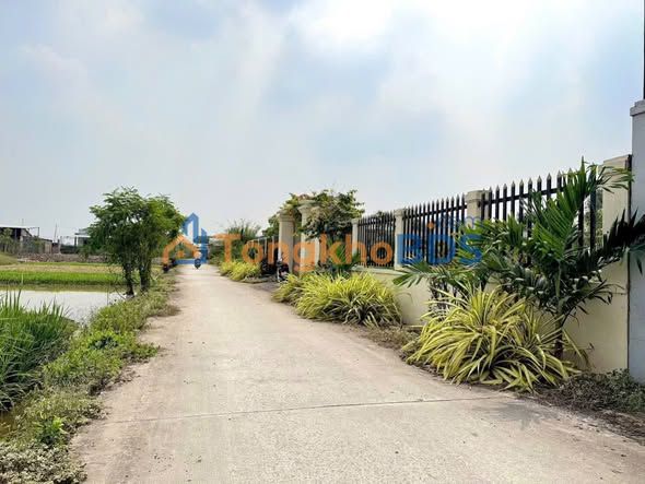 Đất Vườn 1359m² Xã Phước Hậu Long An - Sổ Hồng Sẵn Sàng