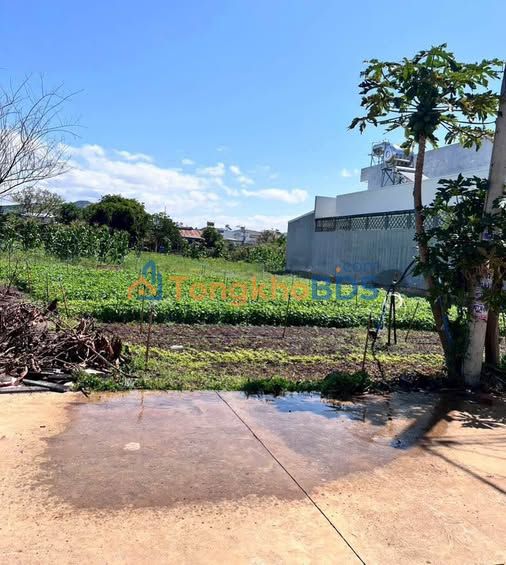 Đất Nền Đức Trọng 145m² - Hẻm 74 Phan Đình Phùng, Sổ Đỏ Sẵn Sàng