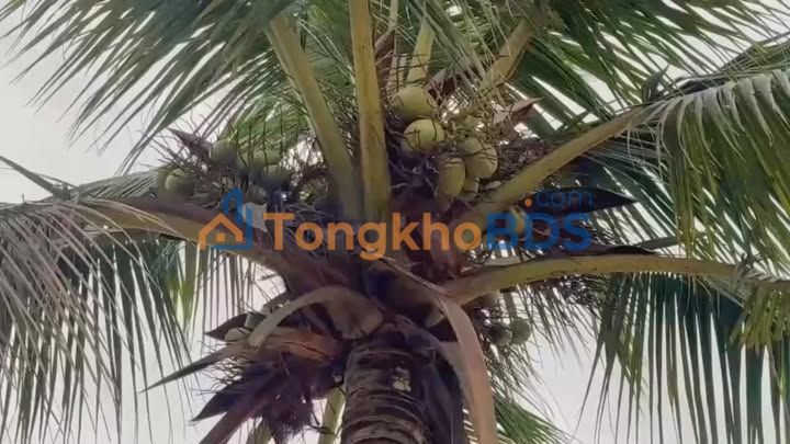 Đất nền Yên Thế, Bắc Giang 5000m² - Sổ đỏ chính chủ, giá đầu tư!