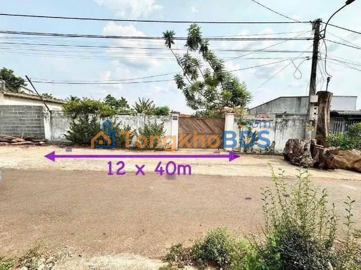 Bán Đất Hẻm 831 Hà Huy Tập, BMT – 240m² Sổ Đỏ Chính Chủ