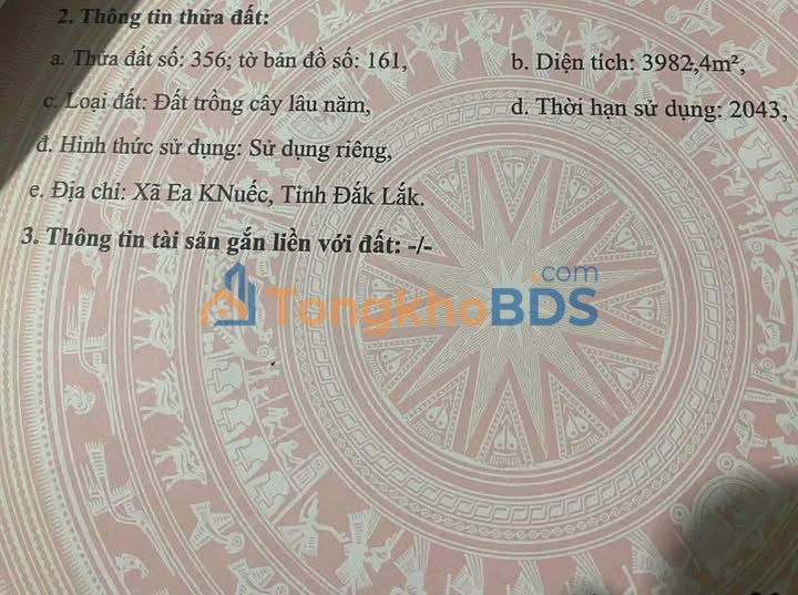 Đất Mặt Tiền Kinh Doanh Krông Pắc, Đắk Lắk - 21250m² Giá Tốt