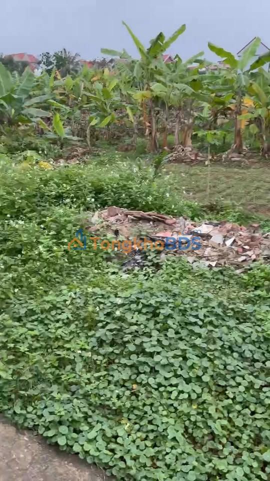 Bán đất Sóc Sơn 800m² - Sổ đỏ chính chủ, giá đầu tư chỉ từ 800 triệu