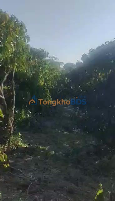 Bán đất Xã Đạ Đờn, Lâm Hà, Lâm Đồng - 600m² - Sẵn Sàng Xây Dựng