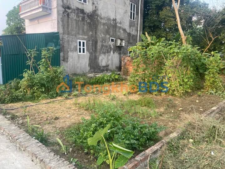 Bán Đất Sóc Sơn 83m² Sổ Hồng Chính Chủ - Ô Tô Ngủ Trong Đất