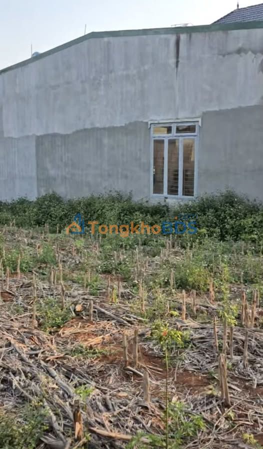 Đất Nền Mặt Tiền 13m Xã Tân Hà, Lâm Hà - 3 Tỷ, Thổ Cư Sẵn Sàng