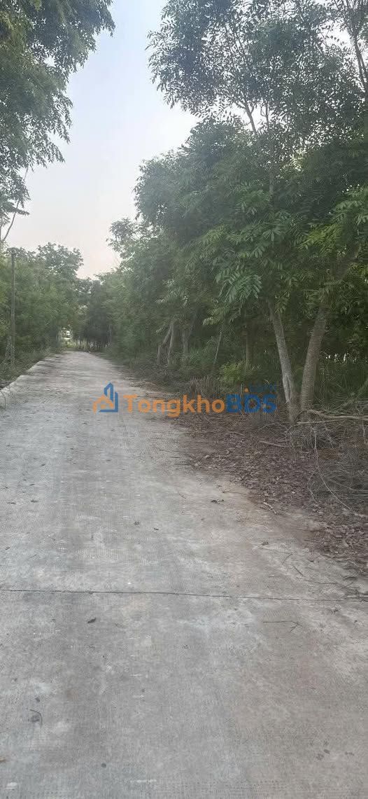 Đất Vàng Bình Phước - 14400m² Mặt Tiền Bê Tông 8 Tỷ