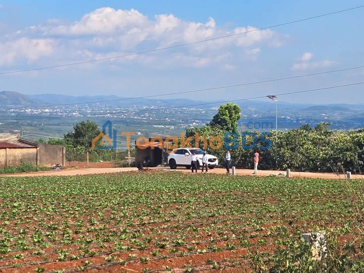 Đất nền Lâm Hà 150m² - 450 triệu, view đẹp, khí hậu mát mẻ