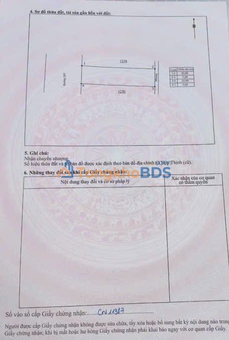 Đất đấu giá Hợp Thịnh, Tam Dương 100m² - Mặt tiền 5m, full thổ cư