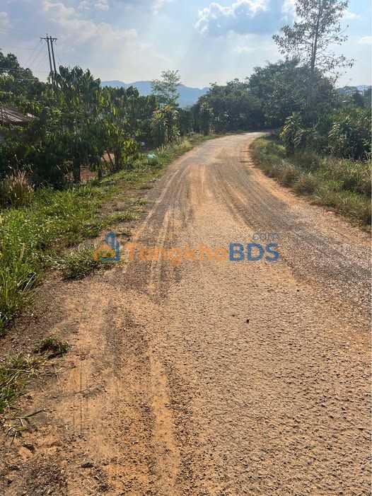 Đất Củ Chi 2232m² Mặt Tiền Nhựa 2.5 Tỷ - Sẵn Sàng Đầu Tư