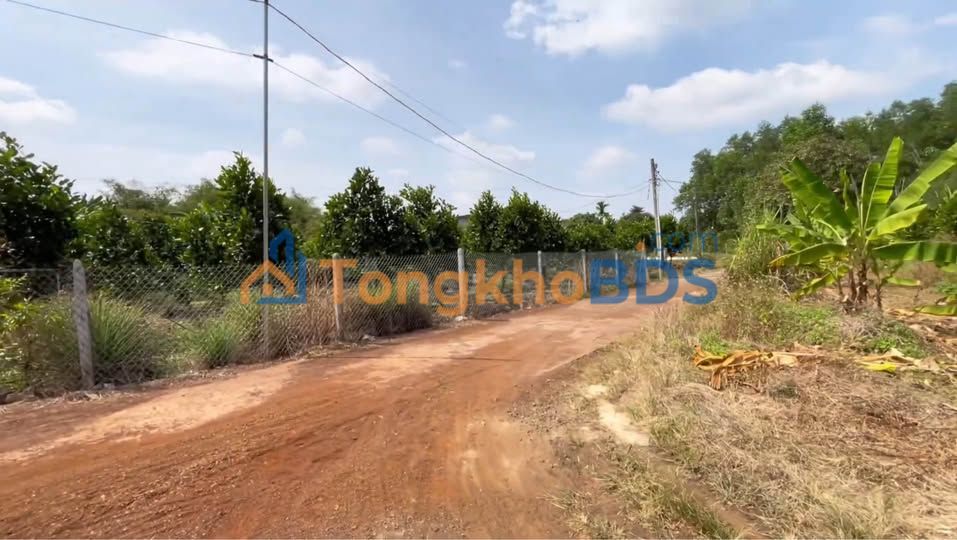 Bán Đất 8000m² Xuân Lộc, Đồng Nai - Giá 1.9 Tỷ, Mặt Tiền Bê Tông