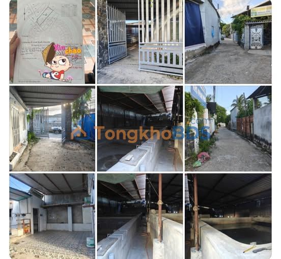 Bán Farm 298m² Lô Góc - Nuôi Cá Chình Tiềm Năng Tại Ninh Chữ