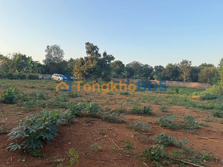 Bán Đất Nền Quỳnh Lưu, Nho Quan 2100m² - Cơ Hội Đầu Tư Sinh Lời