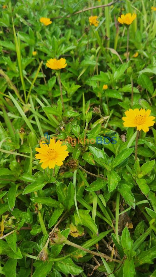 Đất Nền 2 Mặt Tiền Điện Tiến, Quảng Nam - 147m² Giá Đầu Tư Chỉ 6xx Triệu